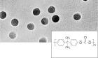 Polycarbonate Track-Etched Filters with 15 µm pore size