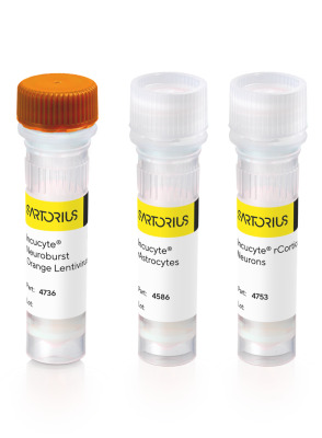 Incucyte® Neuroactive Orange Kit