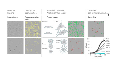 Incucyte® Advanced Label-Free Classification Analysis Software Module