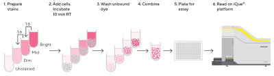 iQue® Proliferation & Encoding Dye (R/Red) Kit