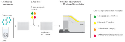 iQue® Human 4-Plex Apoptosis Kit