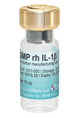 CellGenix® rh IL-1β (GMP Grade)