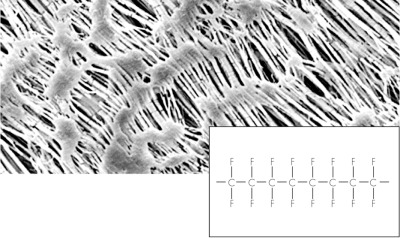 Hydrophobic PTFE Membrane Filters / Type 11803