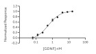 RUO Recombinant Human GDNF Protein