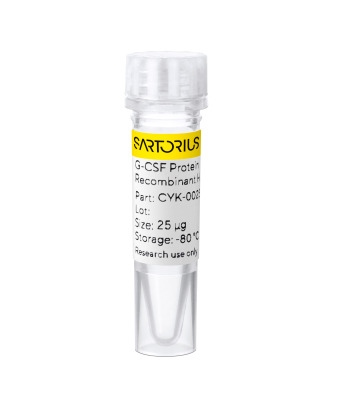 RUO Recombinant Human G-CSF Protein