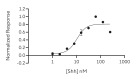 RUO Recombinant Human SHH Protein