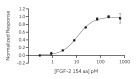 RUO Recombinant Human FGF-2 Protein 154 aa