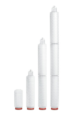 Sartobran® P Cartridge 0.45µm 30 inch