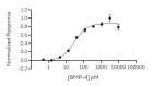 RUO Recombinant Human BMP-4 Protein