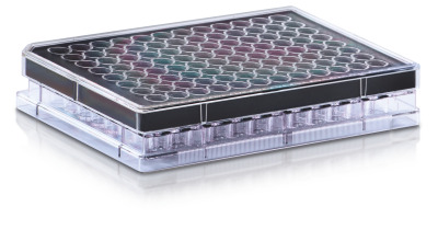 Incucyte® Clearview 96-well Plate for Chemotaxis