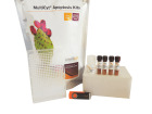 iQue® Human 4-Plex Apoptosis Kit