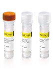 Incucyte® Neuroprime Kit